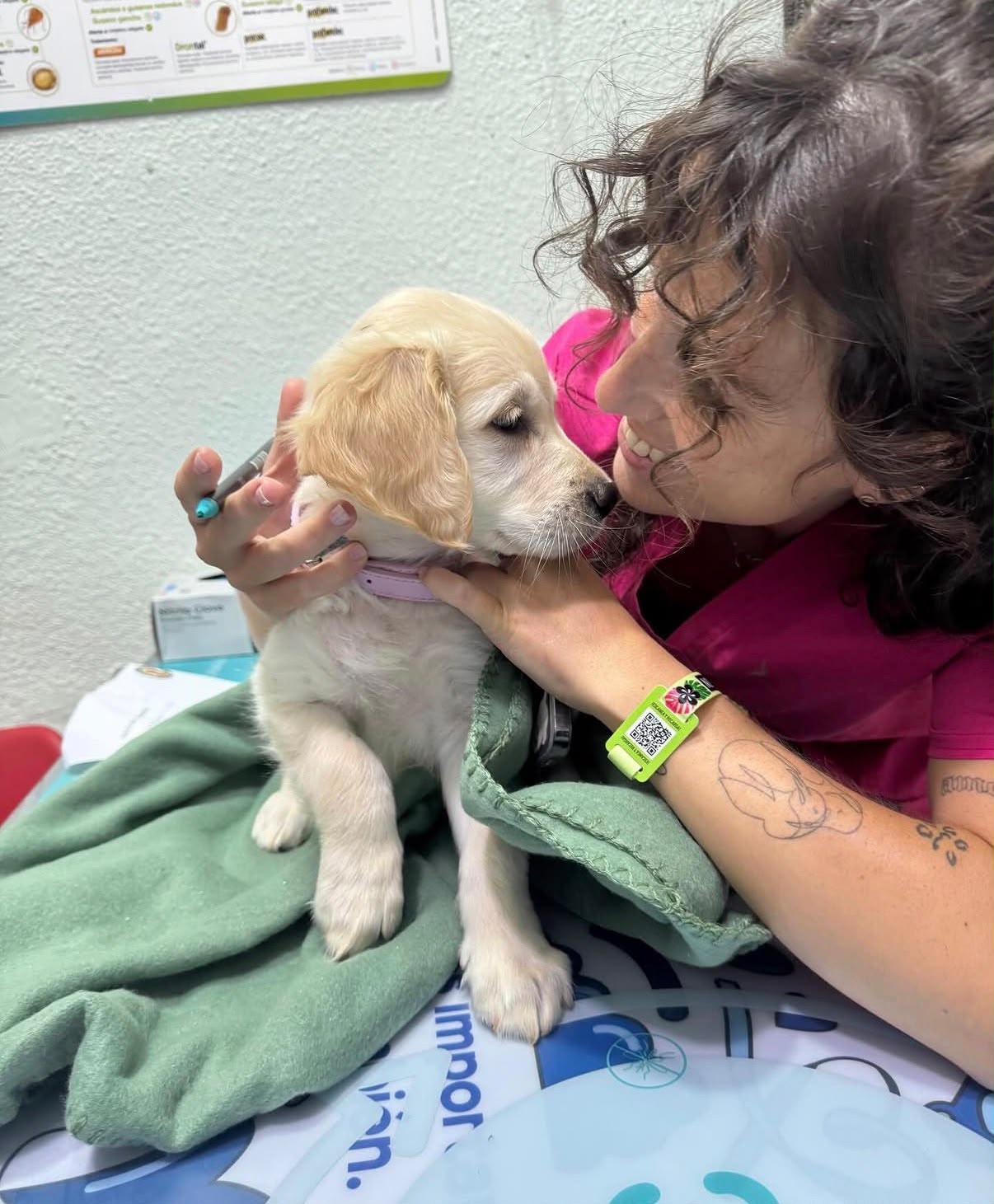 La veterinaria de Can Contento cuidando con cariño a una cachorra en la consulta